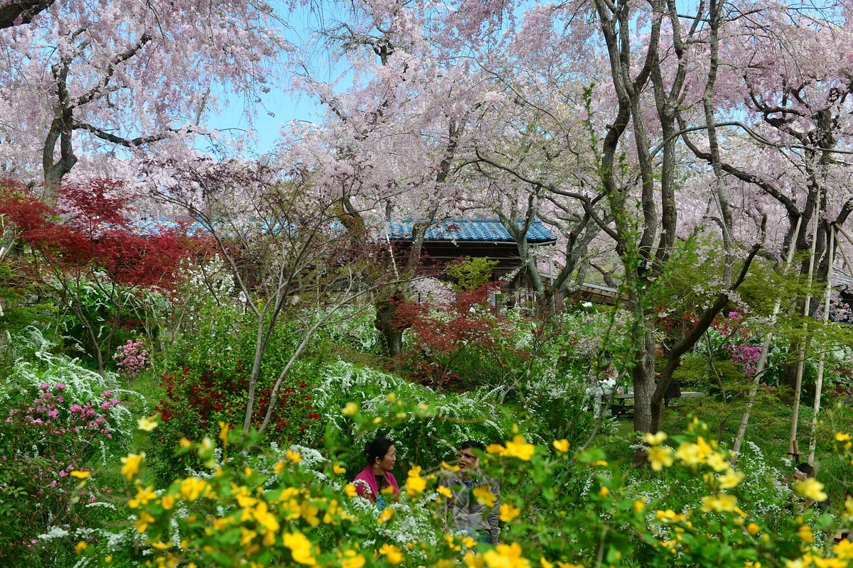 🌸 하라다니 정원(하라다니엔) 이미지 9